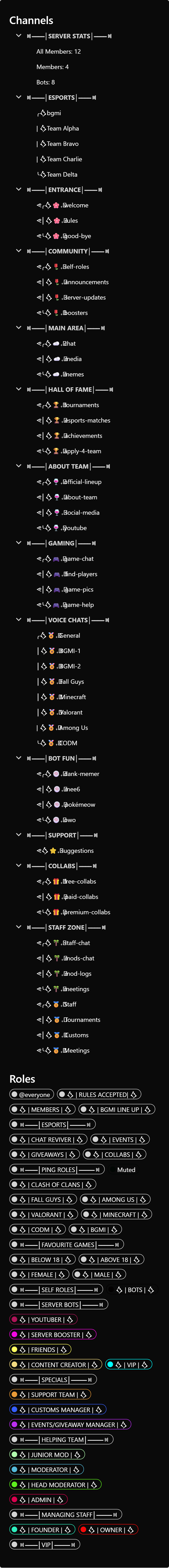 Discord Template Section